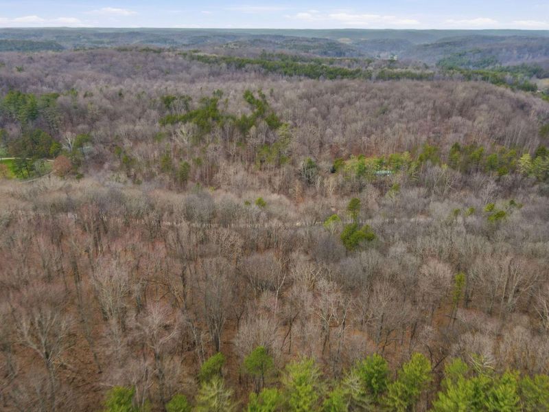 34178 Kelly Road, Ray, OH 45672 Photo 10