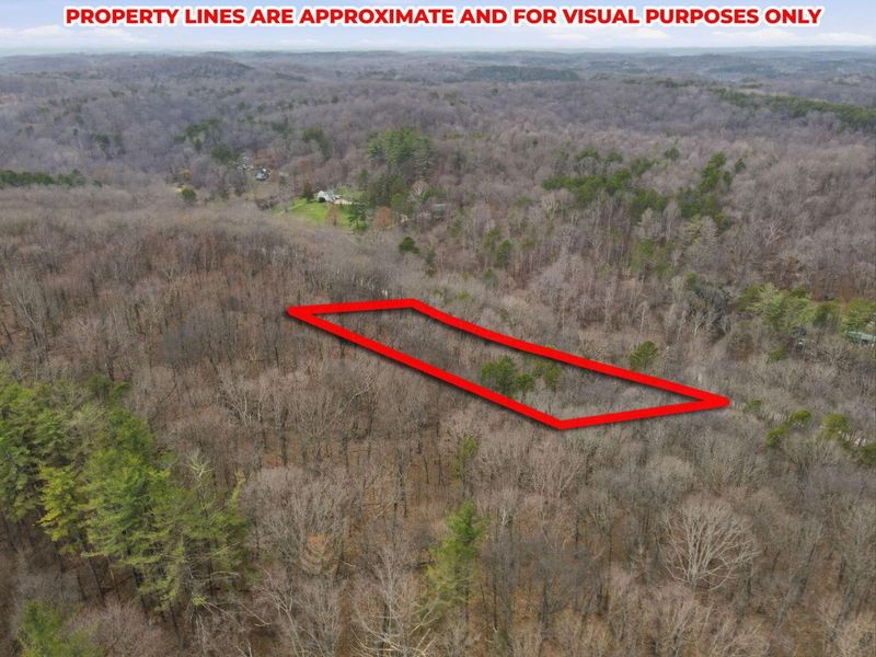 34178 Kelly Road, Ray, OH 45672 Photo 11