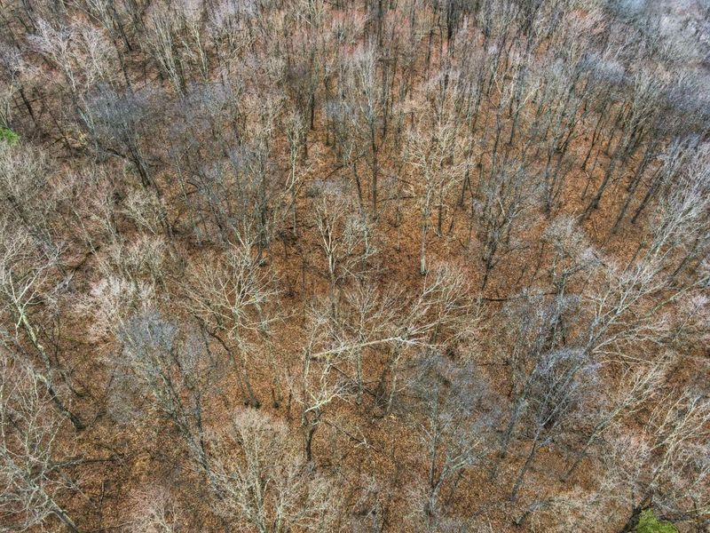 34178 Kelly Road, Ray, OH 45672 Photo 18