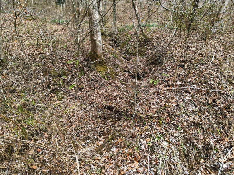 34178 Kelly Road, Ray, OH 45672 Photo 19