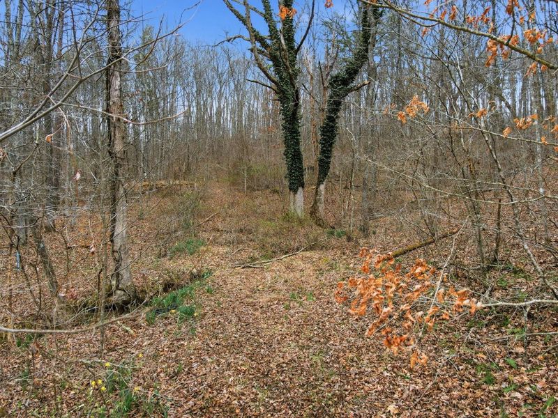 34178 Kelly Road, Ray, OH 45672 Photo 22