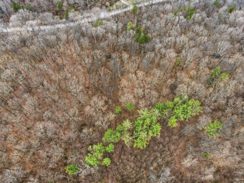 34178 Kelly Road, Ray, OH 45672 Photo 4