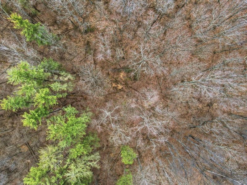 34178 Kelly Road, Ray, OH 45672 Photo 5