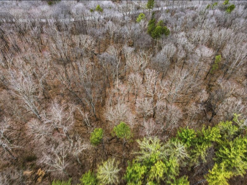 34178 Kelly Road, Ray, OH 45672 Photo 6