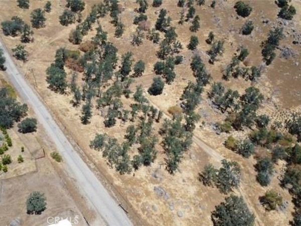 1 .., Squaw Valley, CA 93675