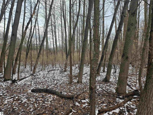 1013 Crown Pointe Drive, Lake Isabella, MI 48893