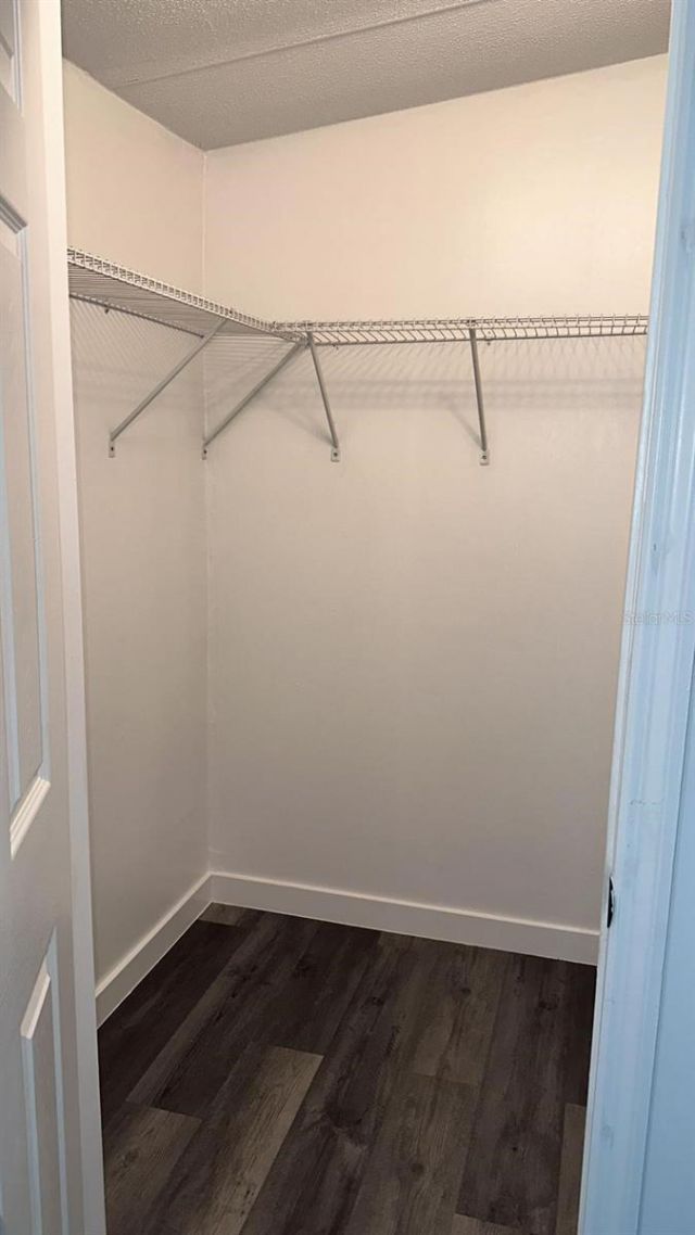 728 N Chestnut Road, Lakeland, FL 33815 Photo