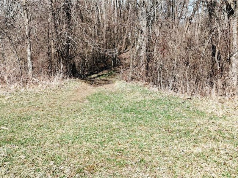 V/L Granger Road , Medina, OH 44256 Photo 10