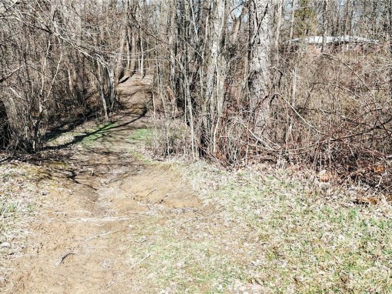 V/L Granger Road , Medina, OH 44256 Photo 11