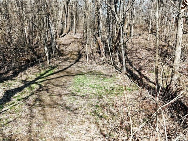 V/L Granger Road , Medina, OH 44256 Photo 12