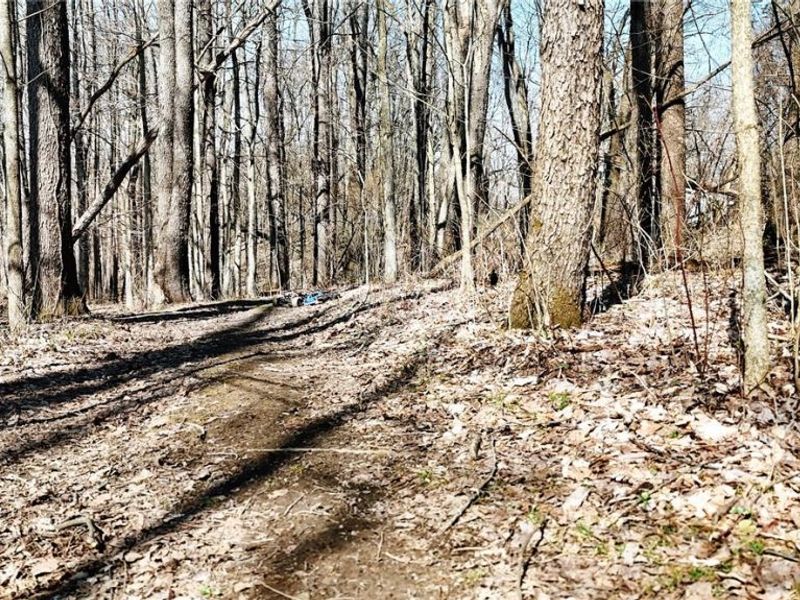 V/L Granger Road , Medina, OH 44256 Photo 13