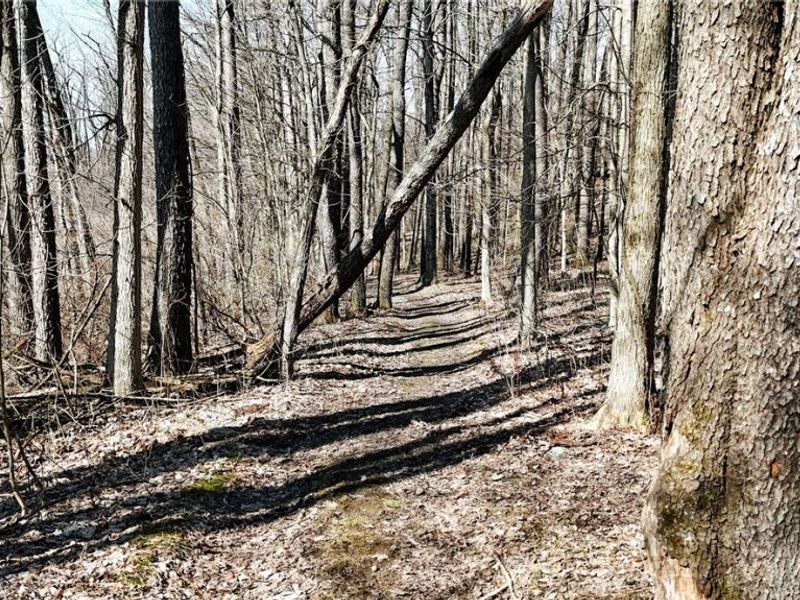 V/L Granger Road , Medina, OH 44256 Photo 14