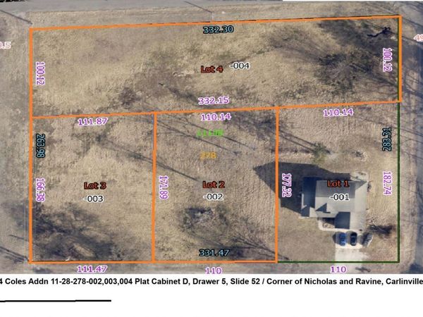 L 2-4 RAVINE Street, Carlinville, IL 62626