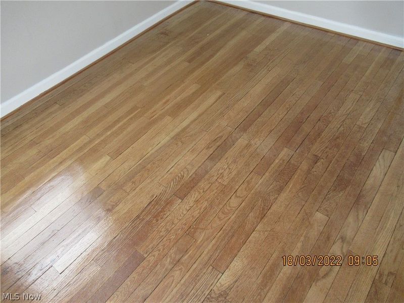 2015 Baxterly Avenue, Lakewood, OH 44107 Photo 20