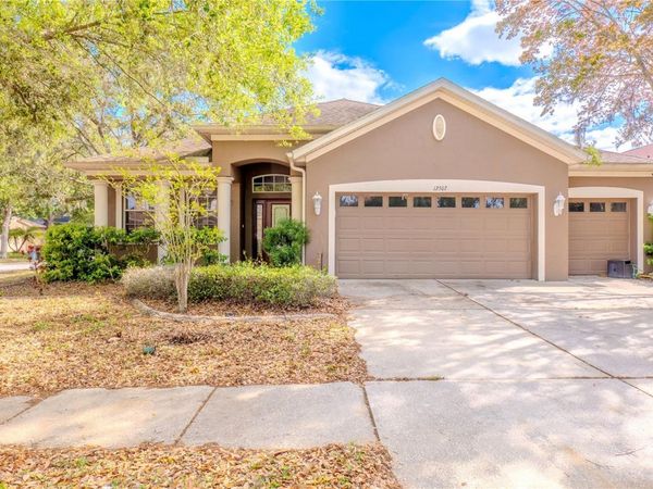 12507 BURGESS HILL DRIVE, RIVERVIEW, FL 33579