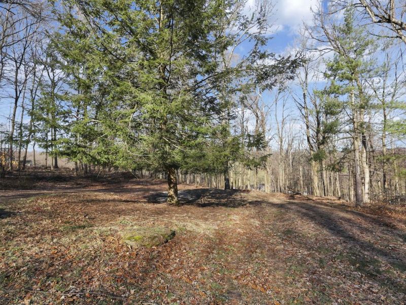 8270 Reform Road NE, Newark, OH 43055 Photo 41