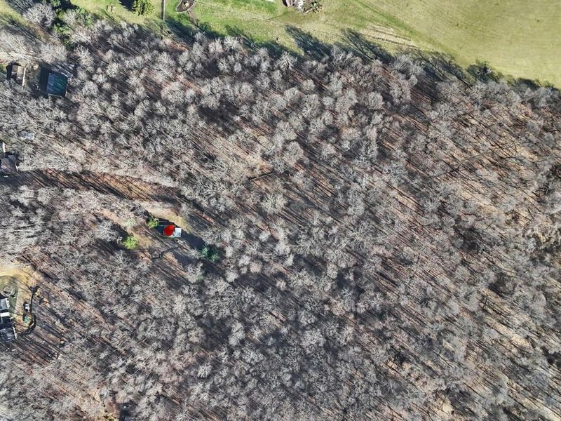 8270 Reform Road NE, Newark, OH 43055 Photo 47