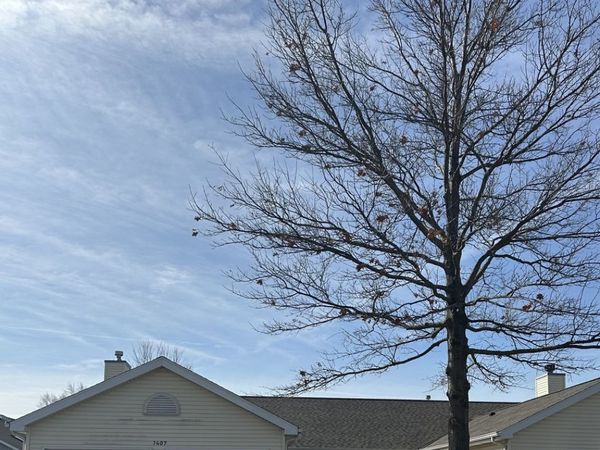 1407 W 23rd Street, Sterling, IL 61081