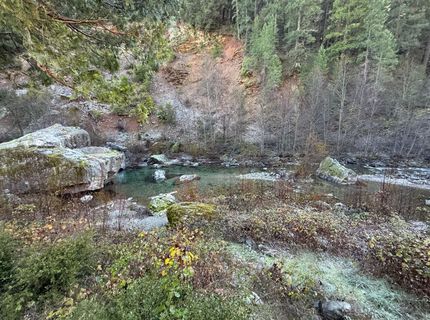 280 Gold Bluff Rd, Downieville, CA 95936 Photo