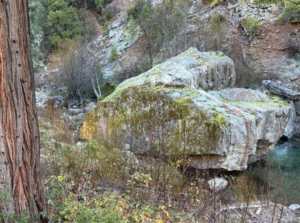 280 Gold Bluff Rd, Downieville, CA 95936 Photo