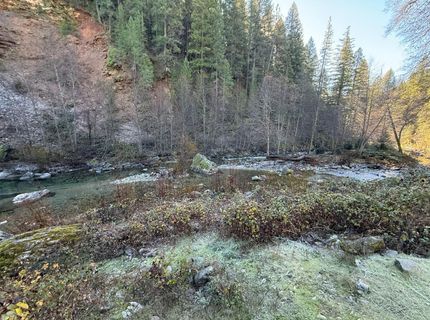 280 Gold Bluff Rd, Downieville, CA 95936 Photo