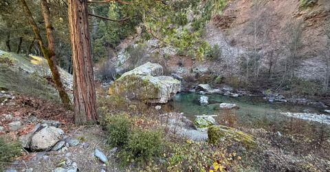 280 Gold Bluff Rd, Downieville, CA 95936 Photo