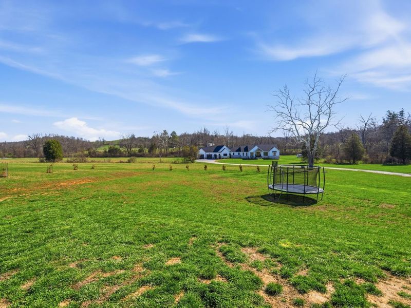 1607 Lickert Road, Alexandria, KY 41001 Photo 41