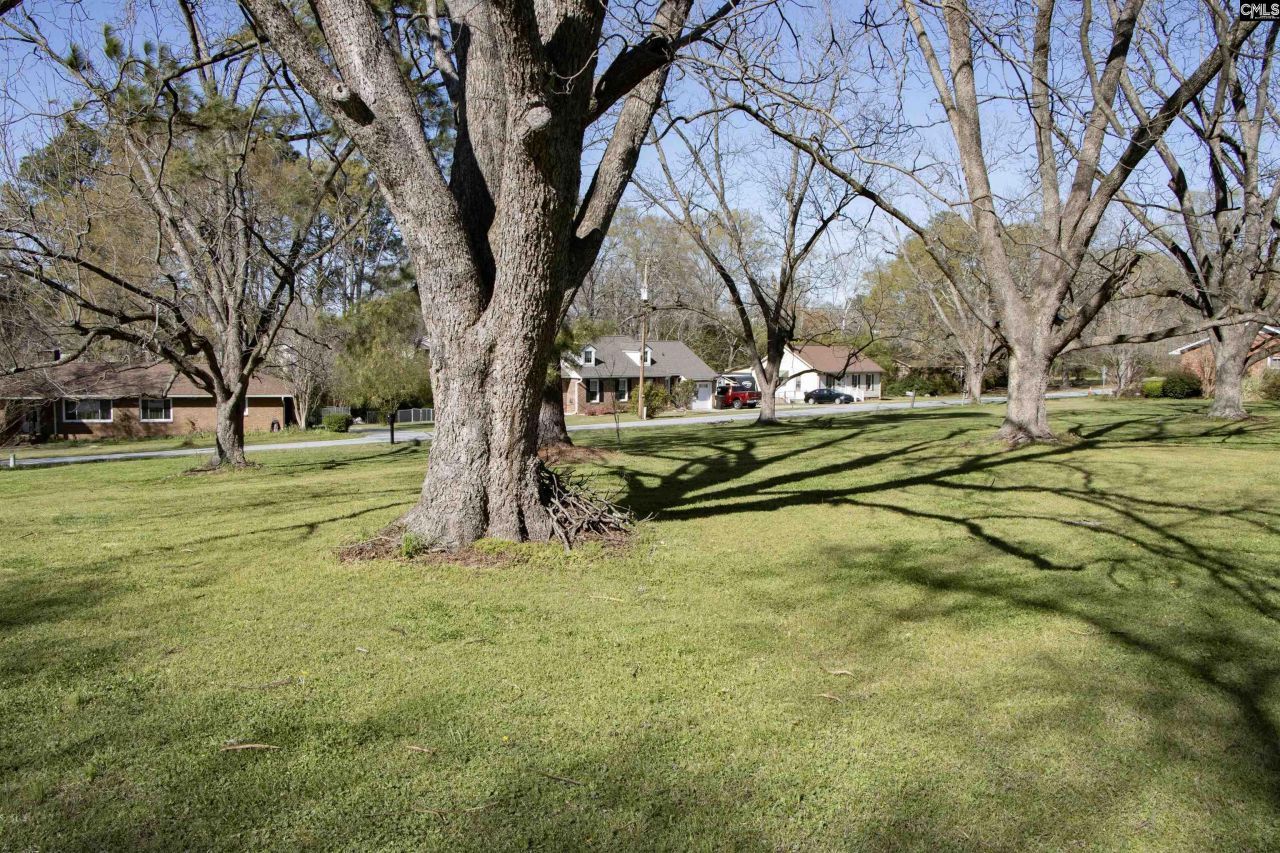 2309 Orchard Street  Photo 41