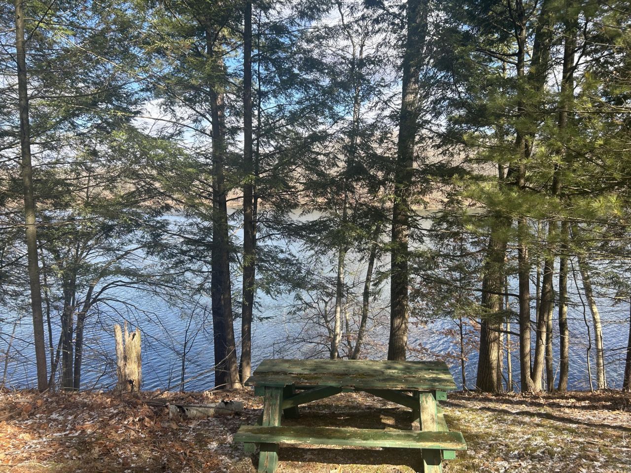 8786 N Island Drive, Lot #20-21, Canadian Lakes, MI 49346 Main Photo