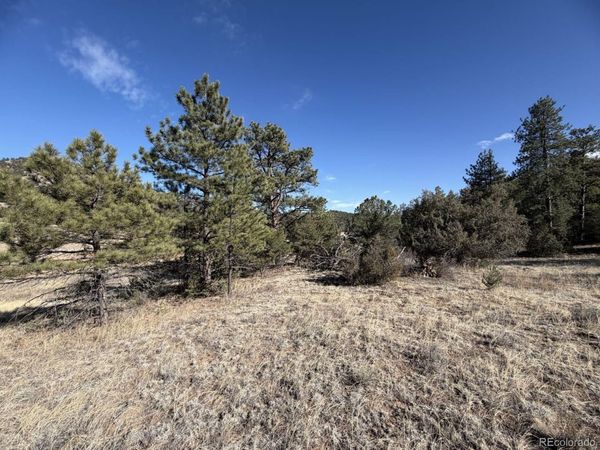 000 Canyon Road , Cotopaxi, CO 81223