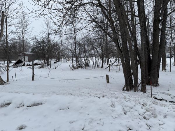 L68-1/2 67 Greenfield Shores DR, McMillan, MI 49853