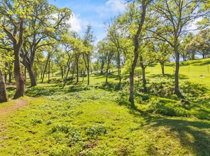 4997 Carbondale Rd, Plymouth, CA 95669 Photo