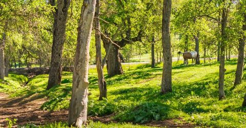 4997 Carbondale Rd, Plymouth, CA 95669 Photo