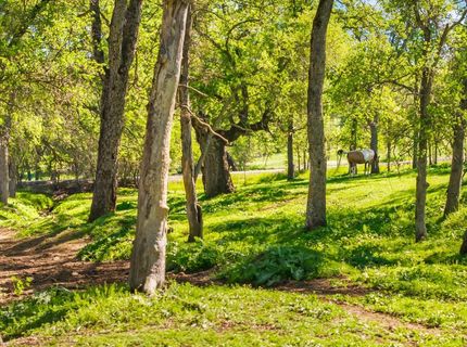 4997 Carbondale Rd, Plymouth, CA 95669 Photo