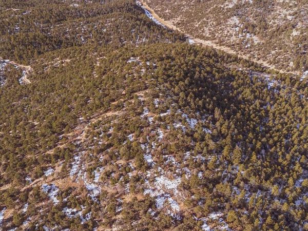 Gulch Road, Cotopaxi, CO 81223