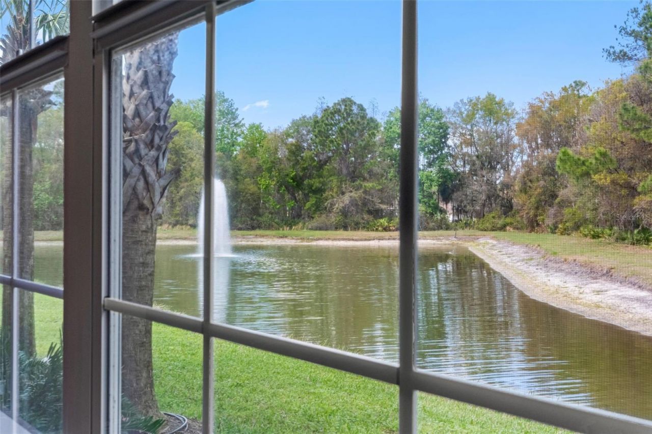 29943 Ganga Way, Wesley Chapel, FL 33543 Photo