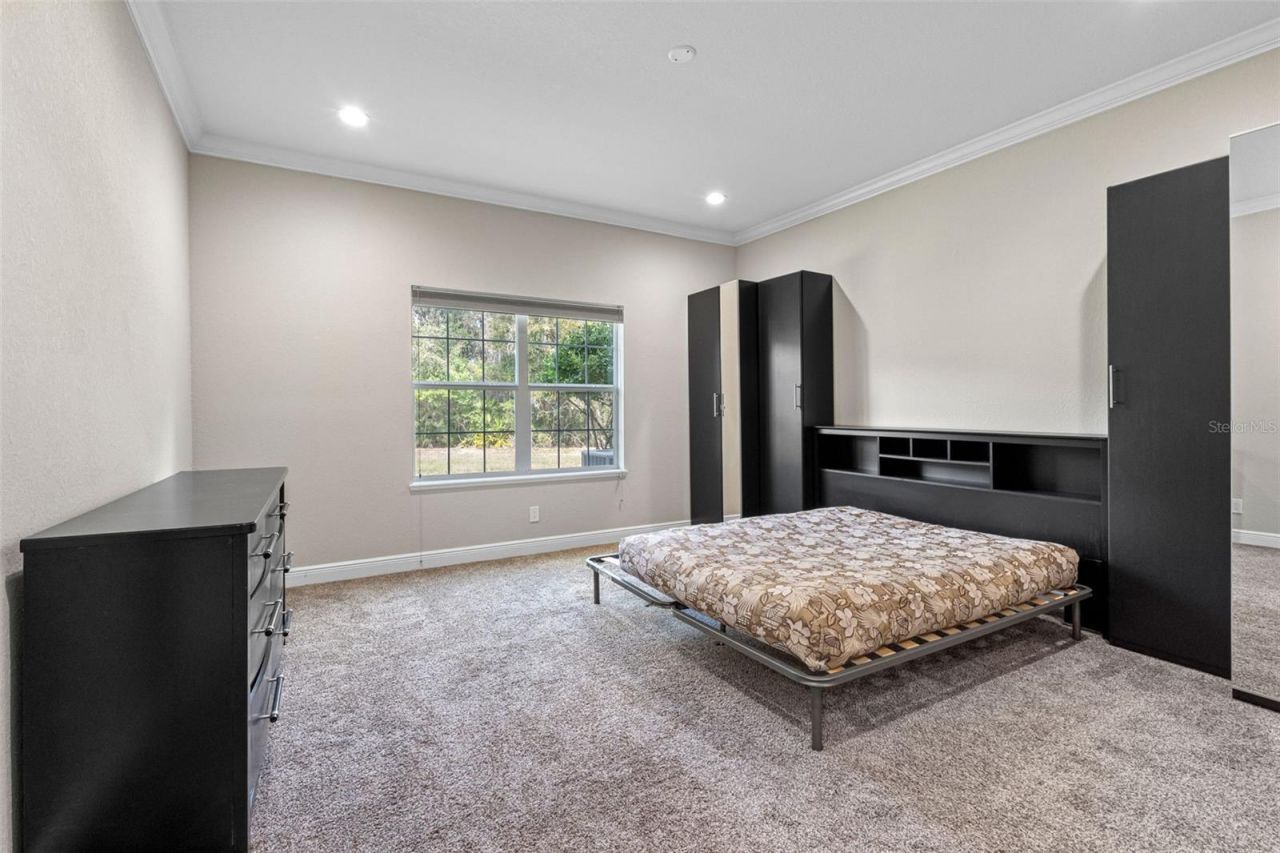 29943 Ganga Way, Wesley Chapel, FL 33543 Photo