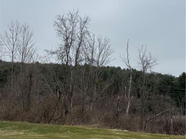 186 Diamond Valley Road , Barton, NY 13734