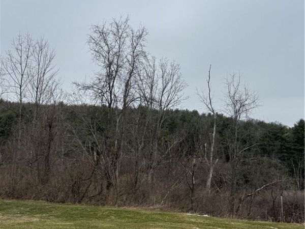 186 Diamond Valley Road, Barton, NY 13734