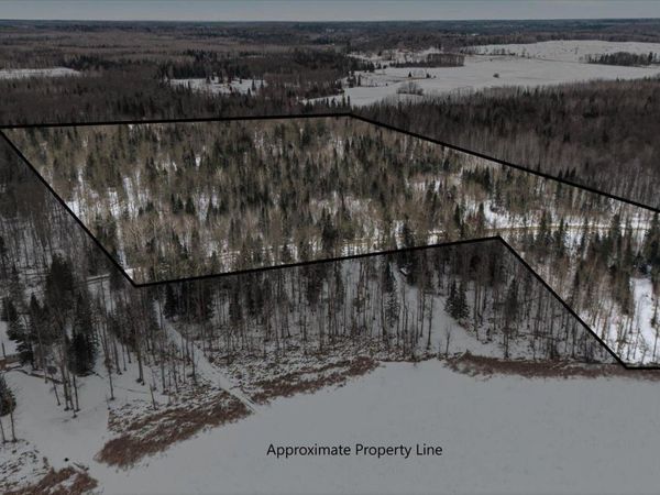 TBD N Little Turtle Lake Rd, Marcell, MN 56657