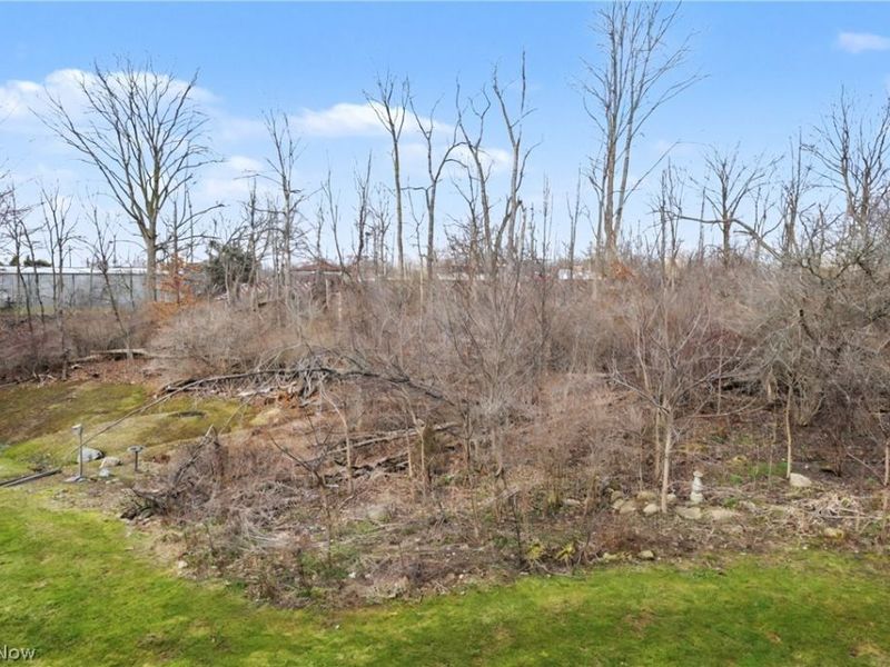 1429 Colony Drive , Streetsboro, OH 44241 Photo 38