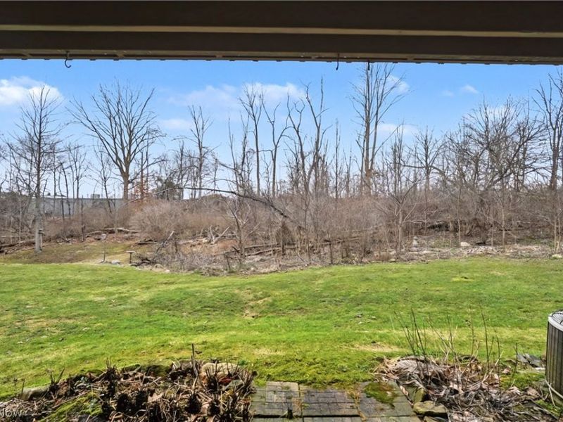 1429 Colony Drive , Streetsboro, OH 44241 Photo 39