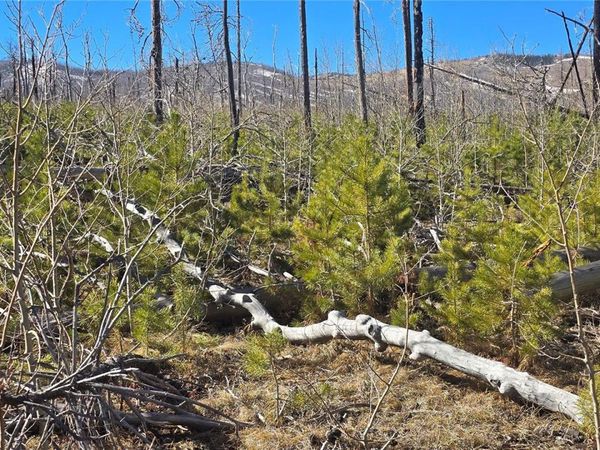 Lot 1460 Von Heyl Lane, Fort Garland, CO 81133