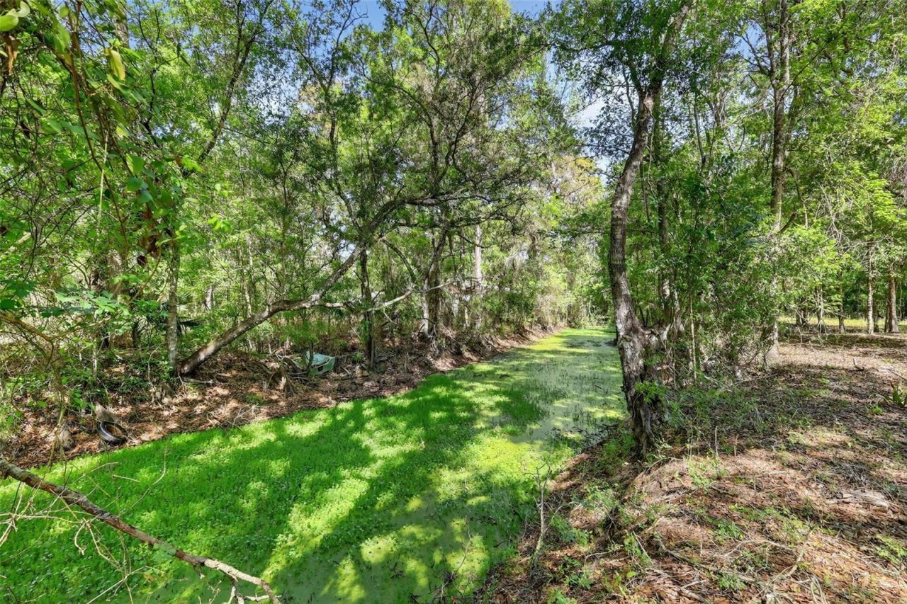 4152 C 575, Bushnell, FL 33513 Photo