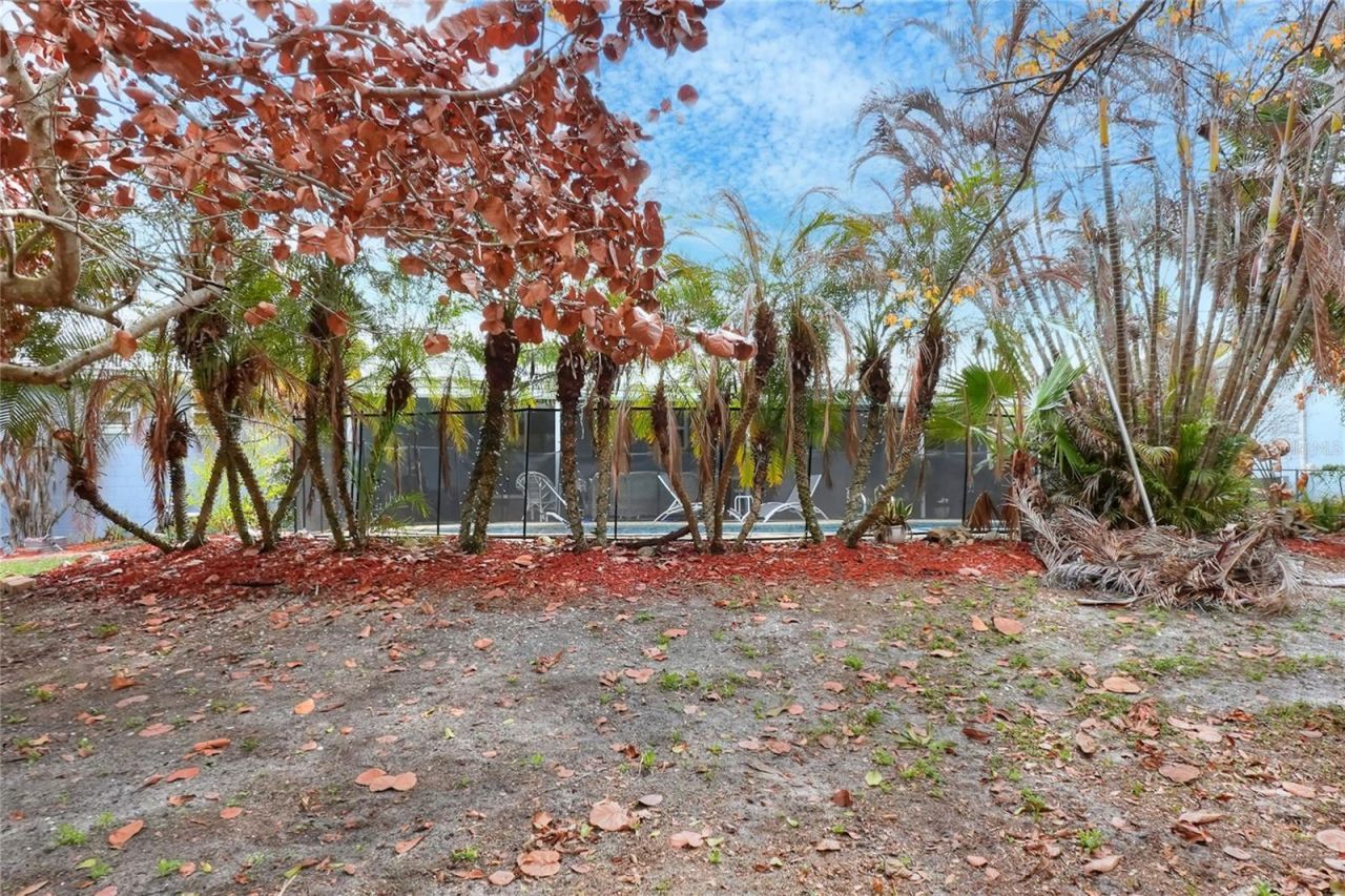 1151 Circle Drive, Lake Wales, FL 33853 Photo