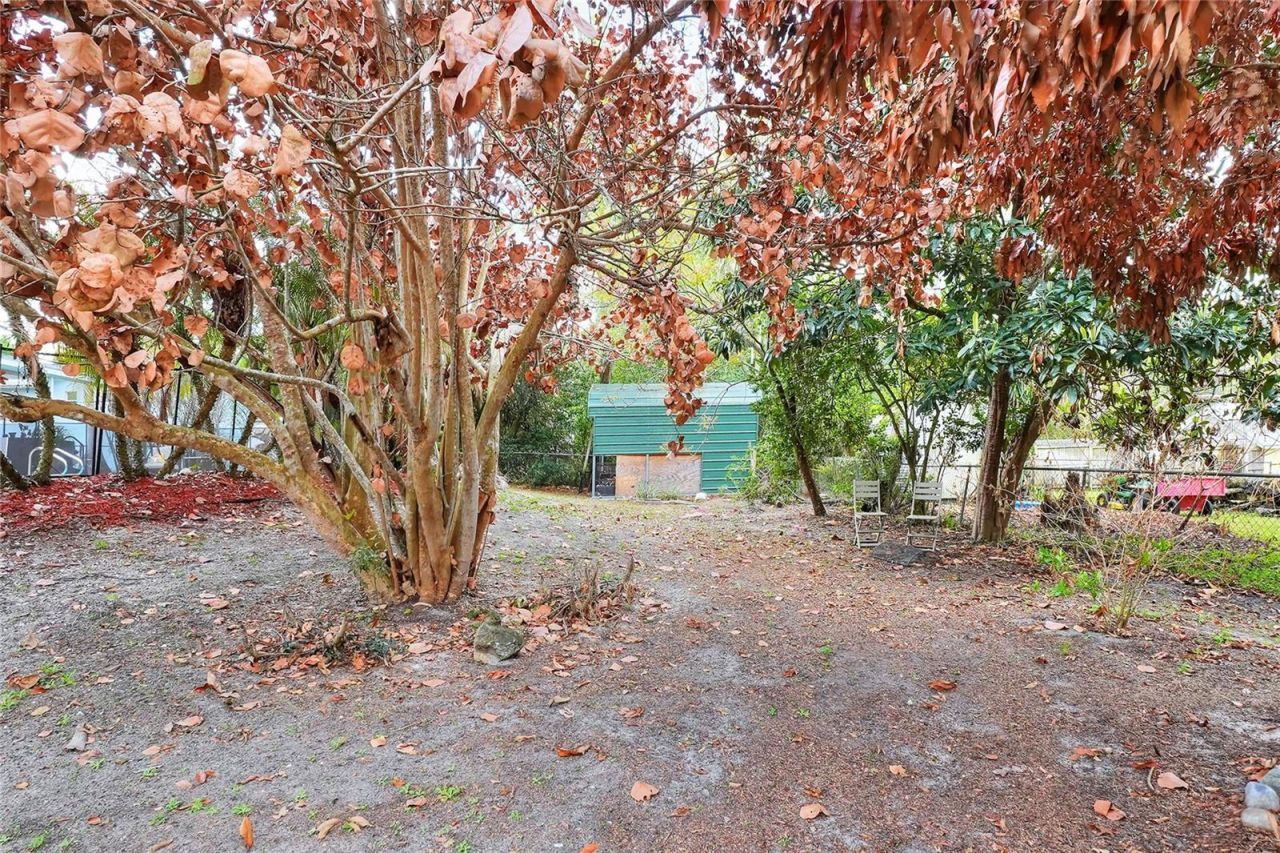 1151 Circle Drive, Lake Wales, FL 33853 Photo
