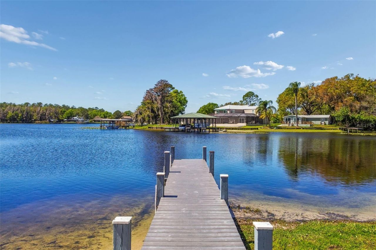 2900 Lake Saxon Drive, Land O Lakes, FL 34639 Photo