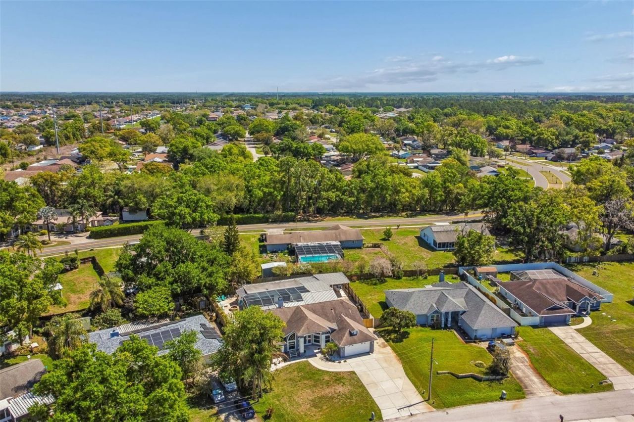 2900 Lake Saxon Drive, Land O Lakes, FL 34639 Photo