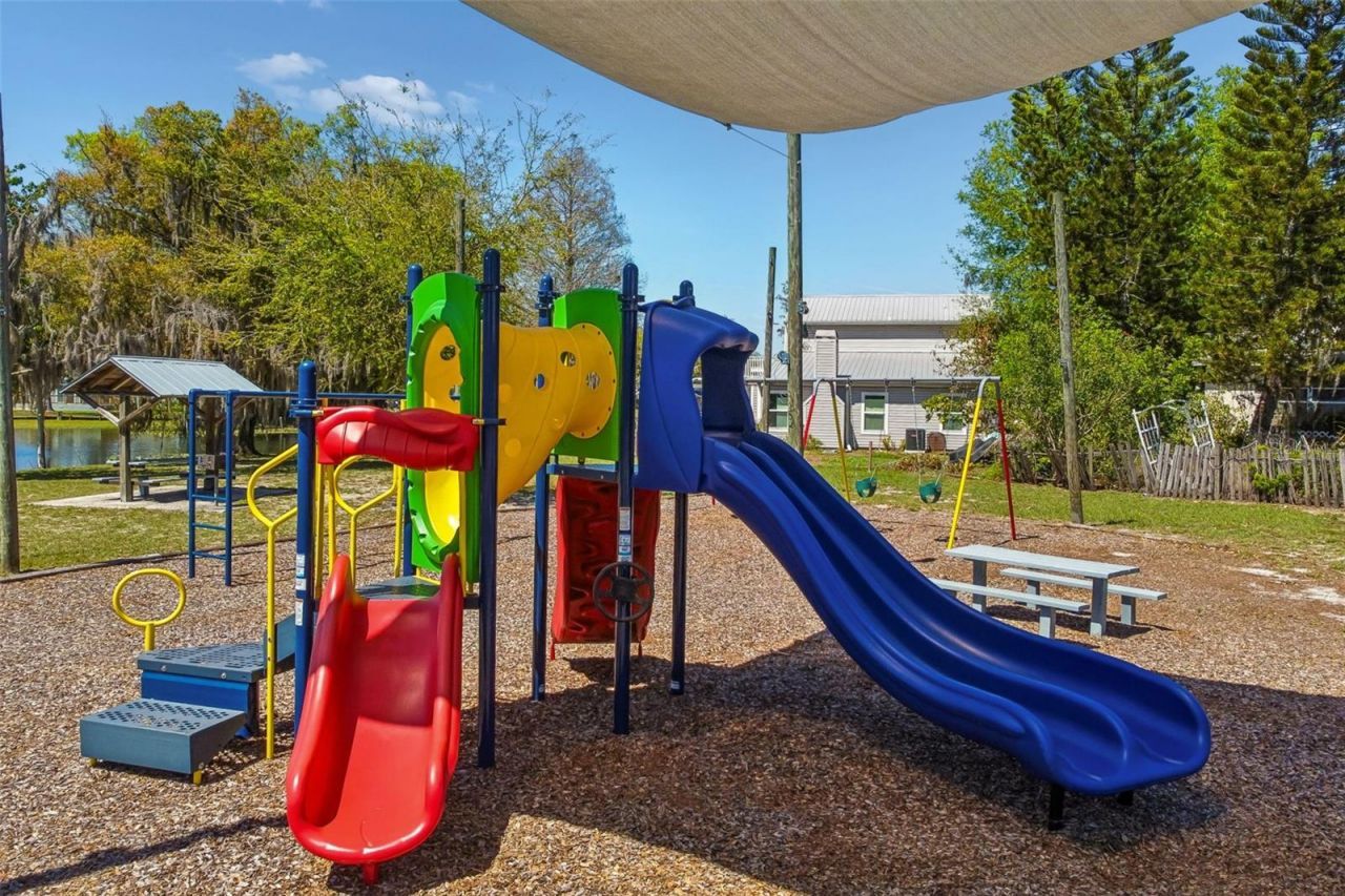 2900 Lake Saxon Drive, Land O Lakes, FL 34639 Photo