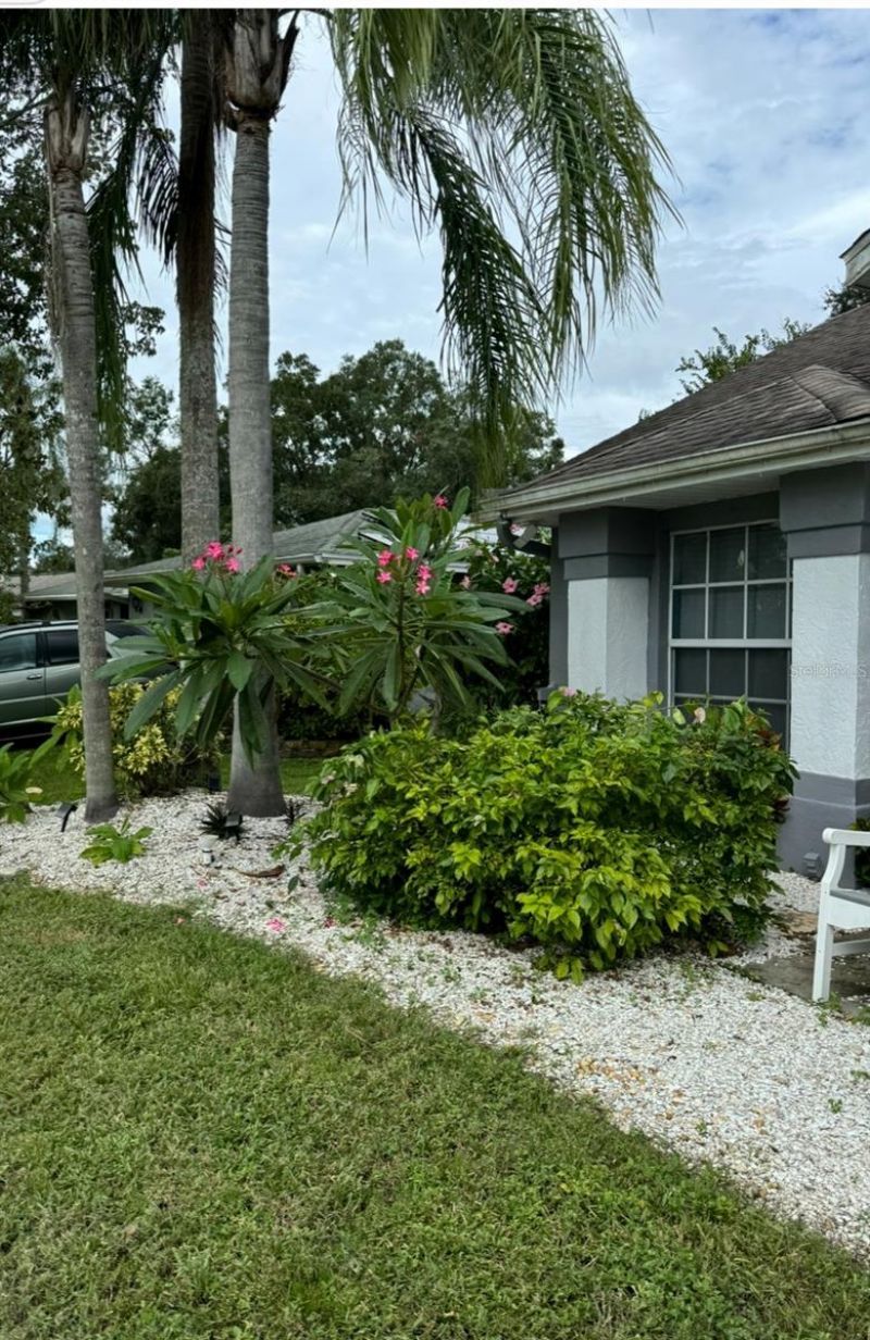 2900 Lake Saxon Drive, Land O Lakes, FL 34639 Photo